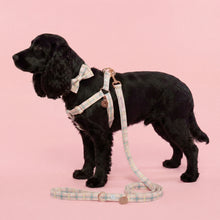 Load image into Gallery viewer, Comfy Cotton Candy Harness