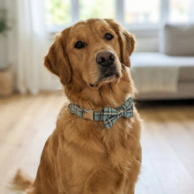 Load image into Gallery viewer, Comfy Cotton Blue Tartan Collar & Bow Tie