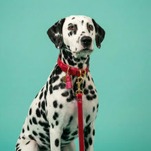 Load image into Gallery viewer, Sweetheart Traditional Leather Dog Lead