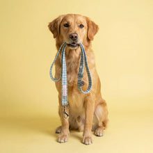 Load image into Gallery viewer, Comfy Cotton Blue Tartan Lead