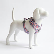 Load image into Gallery viewer, Trendy Terrazzo Harness