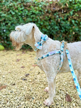 Load image into Gallery viewer, Comfy Cotton Checkered Harness