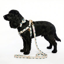 Load image into Gallery viewer, Comfy Cotton Checkered Collar & Bow Tie