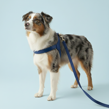 Load image into Gallery viewer, Blue Traditional Leather Dog Lead