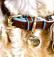 Load image into Gallery viewer, Brown & Blue Traditional European Leather Dog Collar with classic blue leather lining and edging detail