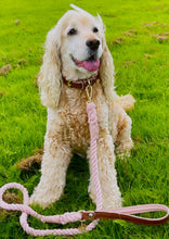 Load image into Gallery viewer, Brown & Pink Traditional European Leather Dog Collar with classic Pink leather lining and edging detail