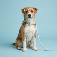 Load image into Gallery viewer, Aquamarine Traditional Leather and Rope Dog Lead