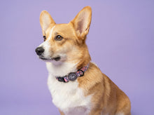 Load image into Gallery viewer, Trendy Terrazzo Collar