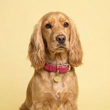 Load image into Gallery viewer, Raspberry Ripple Traditional Dog Collar