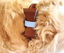 Load image into Gallery viewer, Brown & Blue Leather Bow Tie | Bow Tie For Dog |