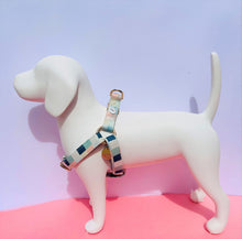 Load image into Gallery viewer, Comfy Cotton Checkered Harness