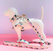 Load image into Gallery viewer, Comfy Cotton Candy Lead