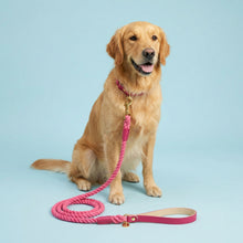 Load image into Gallery viewer, Raspberry Ripple Traditional Leather Rope Dog Lead