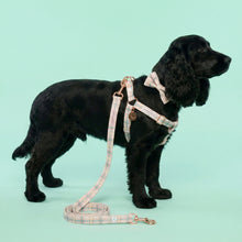 Load image into Gallery viewer, Comfy Cotton Candy Harness