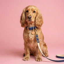 Load image into Gallery viewer, Blue Traditional Leather Dog Lead