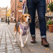 Load image into Gallery viewer, Trendy Terrazzo Leash