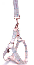 Load image into Gallery viewer, Comfy Cotton Candy Harness
