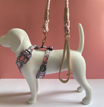 Load image into Gallery viewer, Plush Pink Traditional Leather and Rope Dog Lead