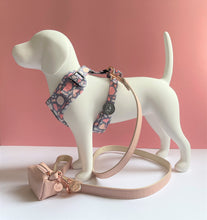 Load image into Gallery viewer, Plush Pink Traditional Dog Lead