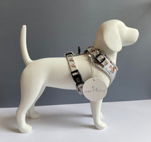 Load image into Gallery viewer, Squirrely Wuirrley Harness
