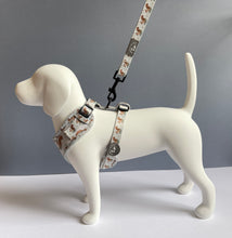 Load image into Gallery viewer, Squirrely Wuirrley Harness
