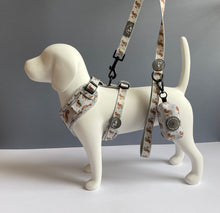 Load image into Gallery viewer, Squirrely Wuirrley Harness