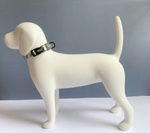Load image into Gallery viewer, Squirrely Wuirrley Collar
