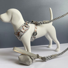 Load image into Gallery viewer, Squirrely Wuirrley Harness