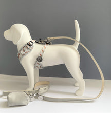 Load image into Gallery viewer, Squirrely Wuirrley Harness