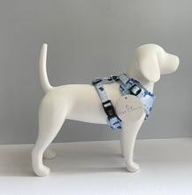 Load image into Gallery viewer, Brush Strokes Pattern Harness