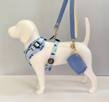 Load image into Gallery viewer, Azure Blue Traditional Leather Dog Lead