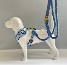 Load image into Gallery viewer, Brush Strokes Pattern Harness