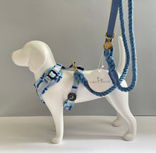 Load image into Gallery viewer, Brush Strokes Pattern Harness