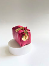 Load image into Gallery viewer, Raspberry Ripple Poo Bag Holder