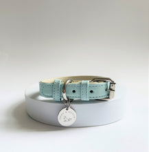 Load image into Gallery viewer, Aquamarine Traditional Dog Collar