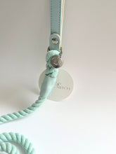 Load image into Gallery viewer, Aquamarine Traditional Leather and Rope Dog Lead