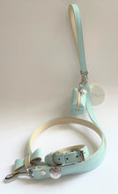 Load image into Gallery viewer, Aquamarine Poo Bag holder