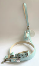 Load image into Gallery viewer, Aquamarine Traditional Leather Dog Lead