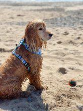 Load image into Gallery viewer, Brush Strokes Collar