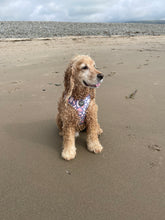 Load image into Gallery viewer, Trendy Terrazzo Harness