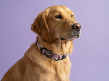 Load image into Gallery viewer, Trendy Terrazzo Collar
