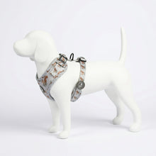 Load image into Gallery viewer, Squirrely Wuirrley Harness
