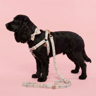 Comfy Cotton Candy Harness