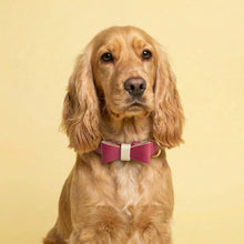 Load image into Gallery viewer, Raspberry Ripple Traditional Dog Collar
