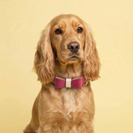 Raspberry Ripple Leather Bow Tie