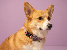 Load image into Gallery viewer, Trendy Terrazzo Collar

