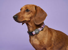 Load image into Gallery viewer, Trendy Terrazzo Collar
