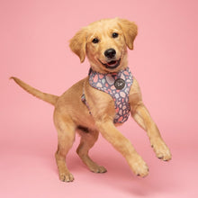 Load image into Gallery viewer, Trendy Terrazzo Harness
