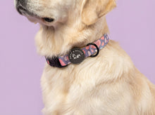 Load image into Gallery viewer, Trendy Terrazzo Collar
