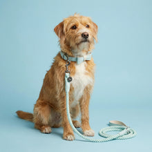 Load image into Gallery viewer, Aquamarine Traditional Leather and Rope Dog Lead
